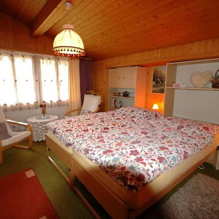 Pristine Home In A Charming Village Large Grassy Sunbathing Area View Of The M Nch And Jungfrau Wilderswil Esterno foto